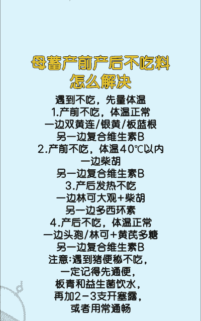 母猪产后不吃治疗方法