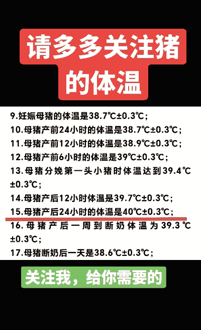 母猪产后体温恢复正常