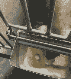 母猪产后喝生鸡蛋