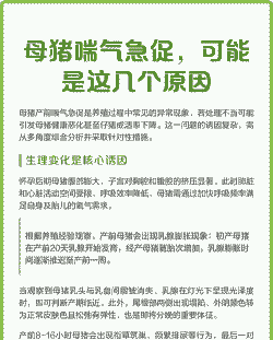 母猪生产后喘气怎么办啊