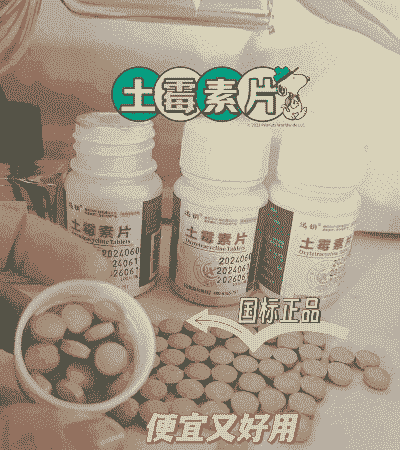 母猪生产后吃什么消炎药