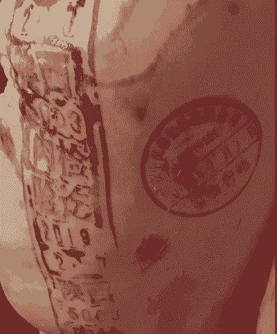 给产后小母猪盖章