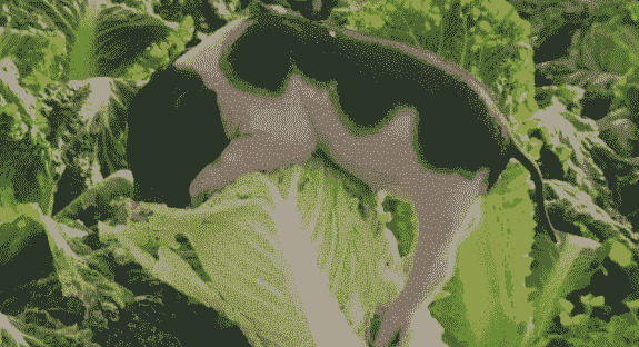 母猪产后给白菜吃