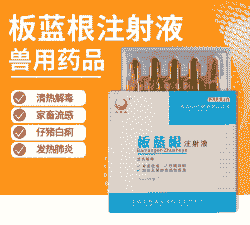 产后母猪打板蓝根