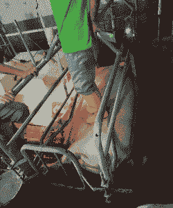 母猪生产后四条腿无力