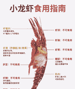 母猪产后能吃小龙虾吗吗