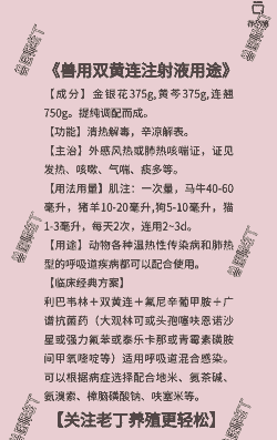 母猪产后双黄连可以用吗