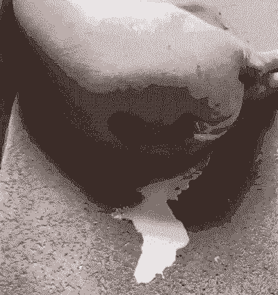 母猪产后第八天还流血水