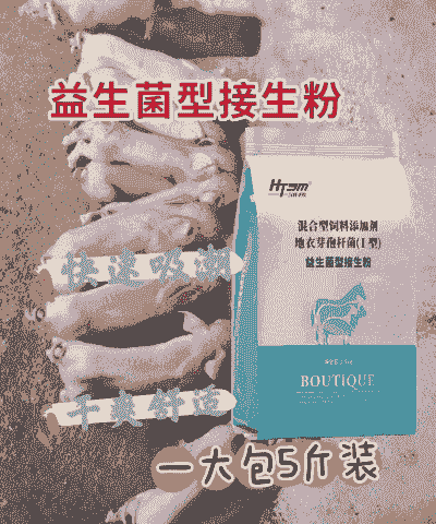 母猪产后 益生菌
