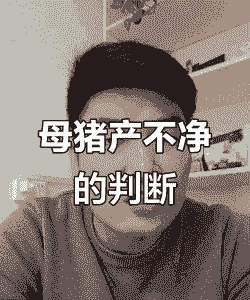 母猪产后烧不退