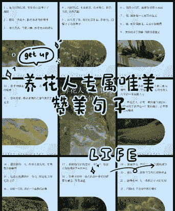 在家阳台养花文案短句 在家阳台养花文案短句