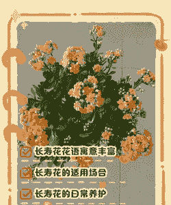 家养花开花寓意 家养花开花寓意