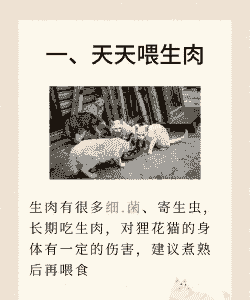 养猫为什么不让养花 养猫为什么不让养花