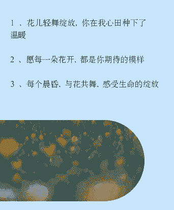 在家阳台养花文案短句 在家阳台养花文案短句