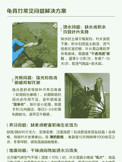 龟背竹耷拉是为什么 龟背竹耷拉是为什么