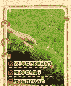 沙漠种草怎么种植