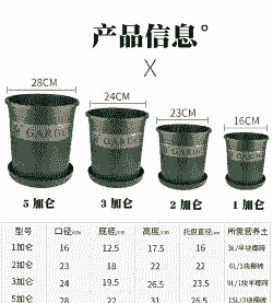 多肉花盆怎么选尺寸