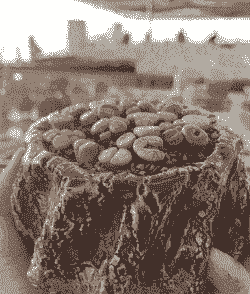 宝石花能在沙漠中生长吗