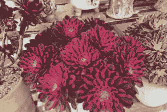 法师夏天必须断水吗