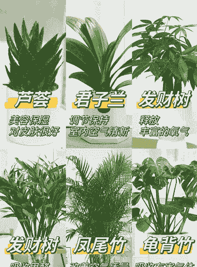 绿地球可以放卧室养吗