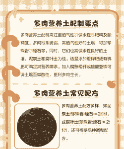 多肉营养土怎么配