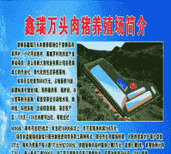 农村猪场简介怎么写