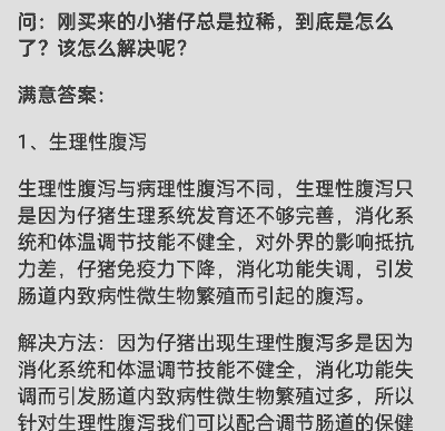 外购小猪拉稀怎么办 外购小猪拉稀怎么办