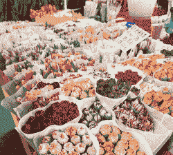 昆明哪些花卉市场