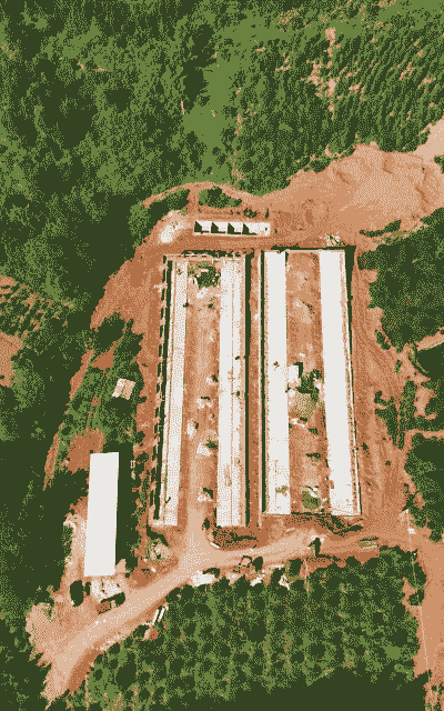 怎么建养猪场呢