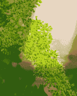 葡地类花卉有哪些