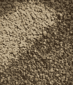 颗粒土里面有什么