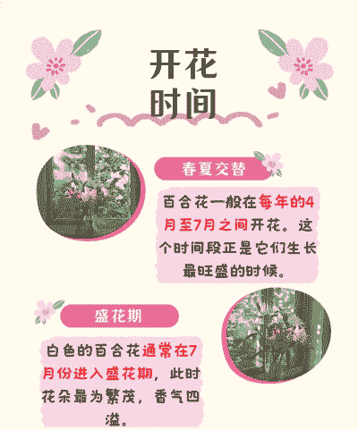 花在什么时候盛开 花在什么时候盛开