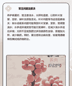 桃之卵的养殖方法和注意事项