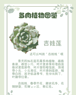 多肉简短寄语