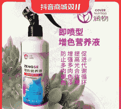 多肉喷什么药水容易上色