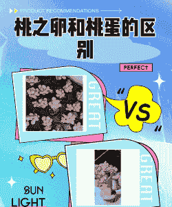 桃之卵和桃蛋的区别