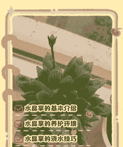 水晶掌多肉怎么养