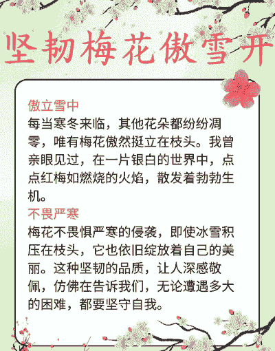 梅花品质和精神寓意是什么