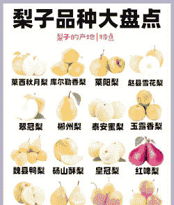 果树种类居世界第几