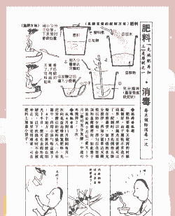 自制肥料小窍门