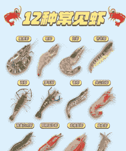 大虾的品种和图片介绍
