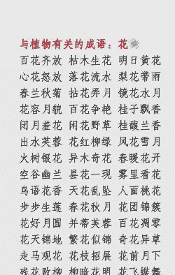 说花养得好的词语有哪些