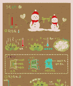 多肉冬天怎么养