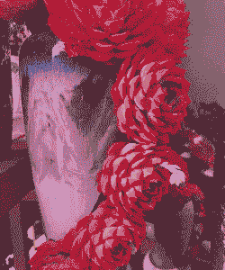 放假40天多肉无人照顾怎么办