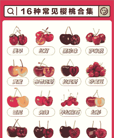 山东车厘子上市时间