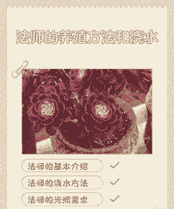 法师的养殖方法和浇水