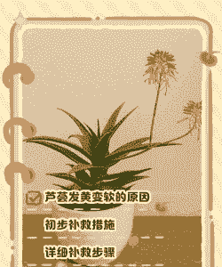 芦荟发黄变软怎么办