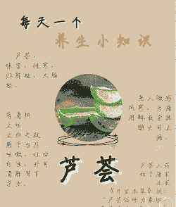 芦荟怎么养才能更旺盛