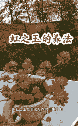 虹之玉夏天可以暴晒吗