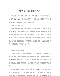 月季花什么时候开